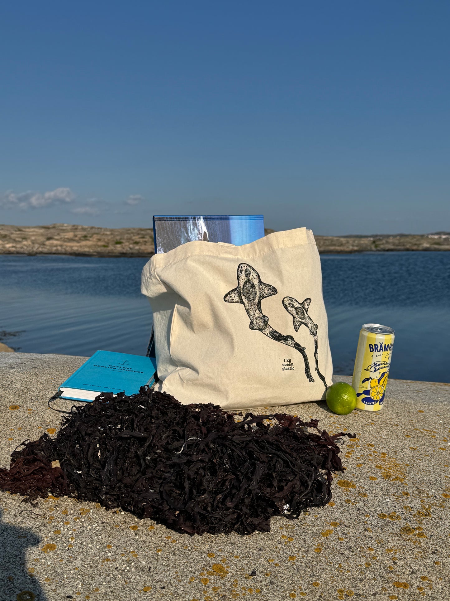 CleanSea Impact bag