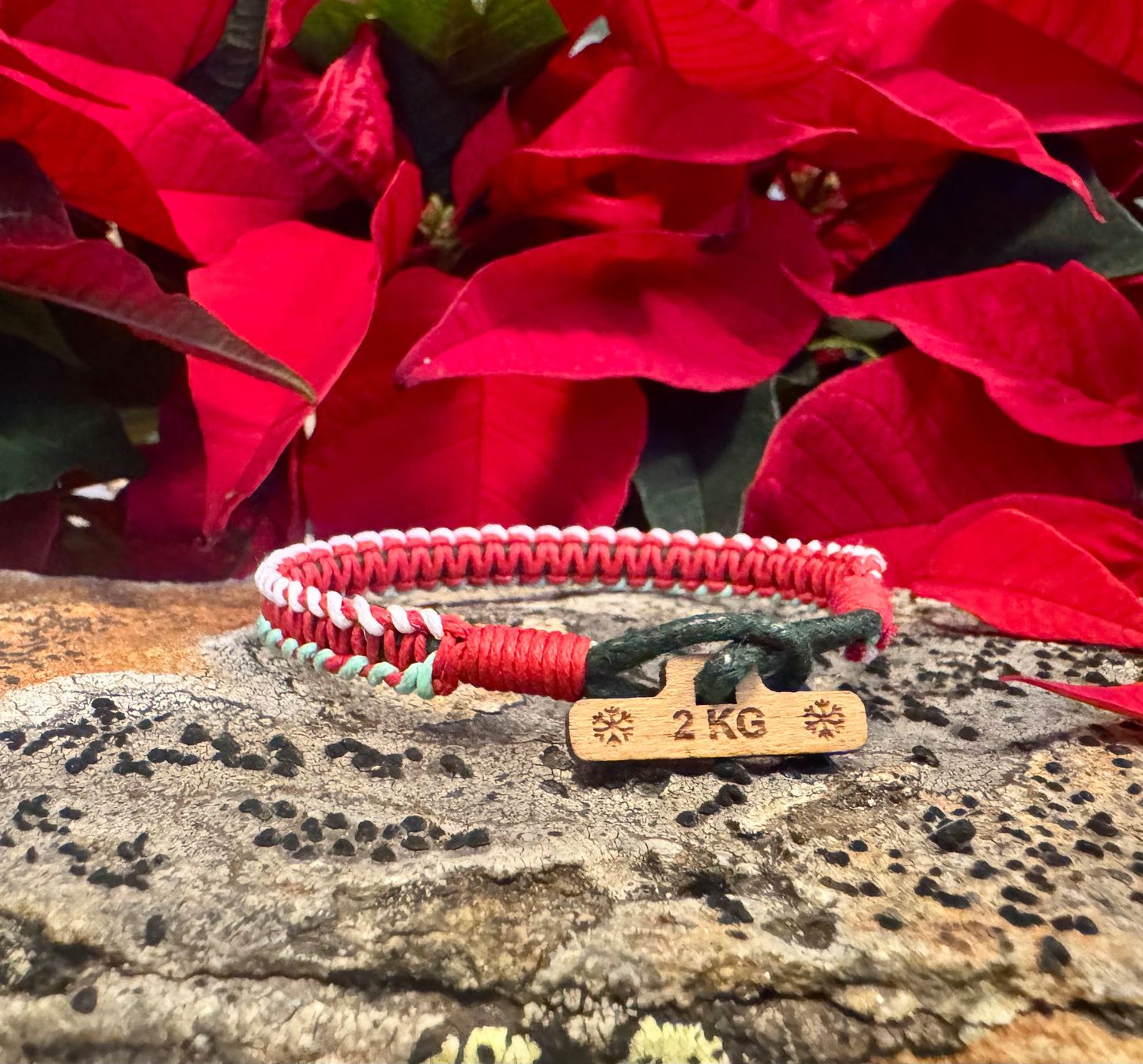 Julhjälte 2 KG - Anemonröd, Havsmint & Saltvit 