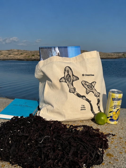 CleanSea Impact bag